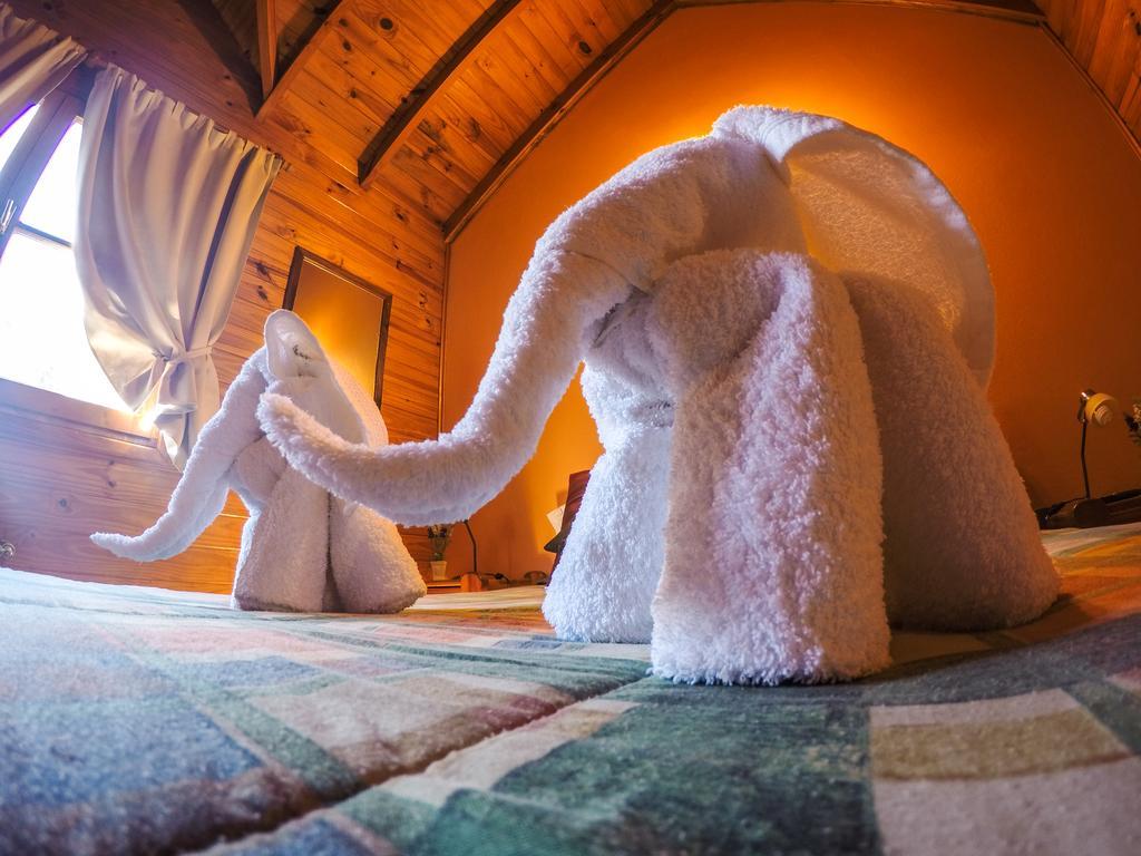 Cabanas De La Patagonia San Martín de los Andes Exteriér fotografie